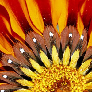 Meet your Posher, Emmalee